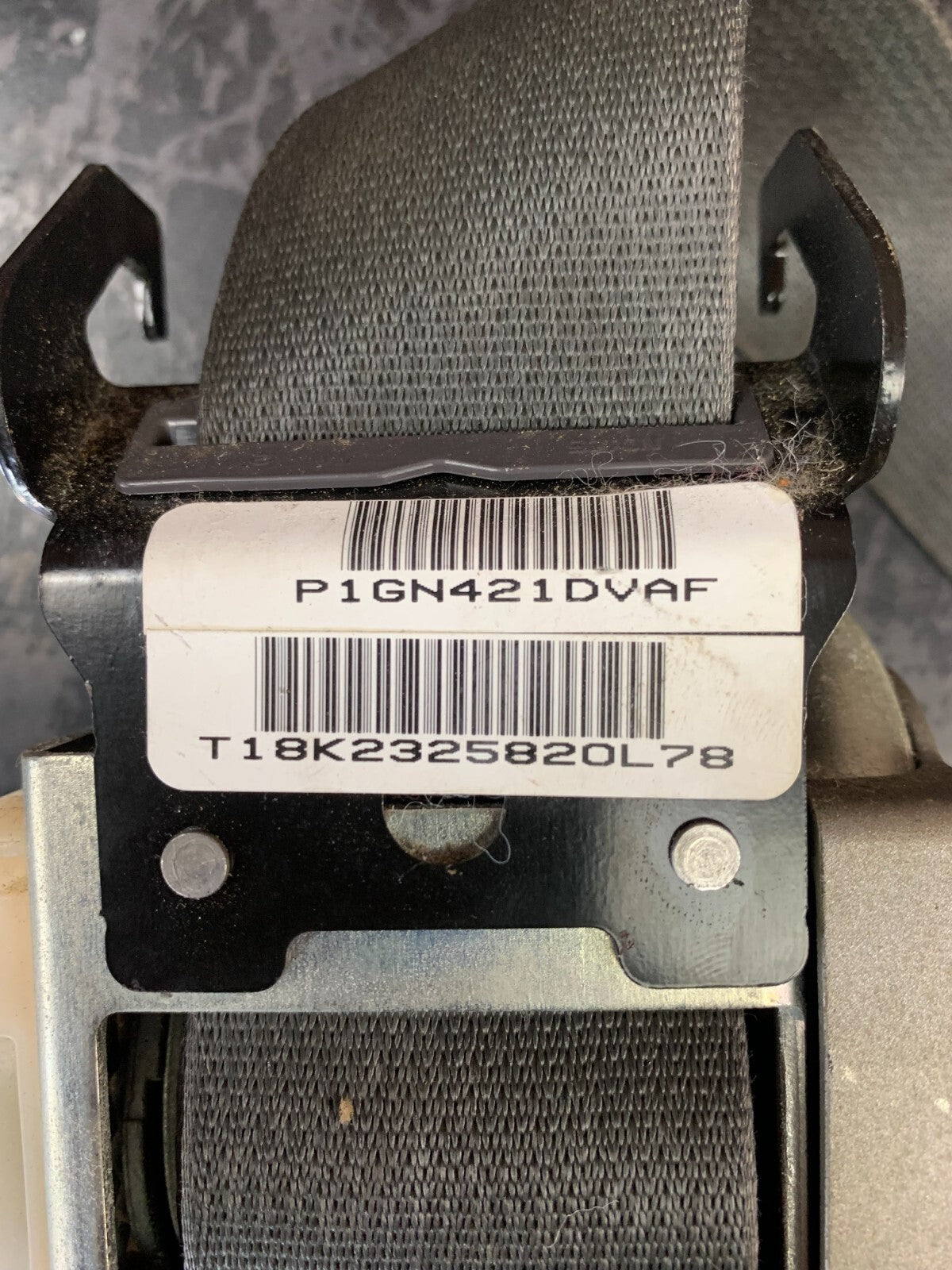 09-10 Challenger Front Passenger RH Outer Seat Belt Retractor OEM 1GN421DVAF