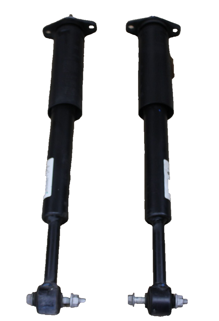 2011-2023 Mopar Chrysler 300 Dodge Charger OEM Rear Shock Absorber Strut Set 52K