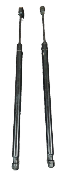 2011-2023 Dodge Charger Front Hood Lift Shock Strut Support LH & RH Set