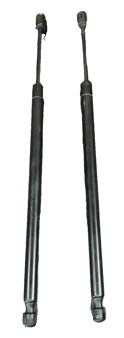 2011-2023 Dodge Charger Front Hood Lift Shock Strut Support LH & RH Set