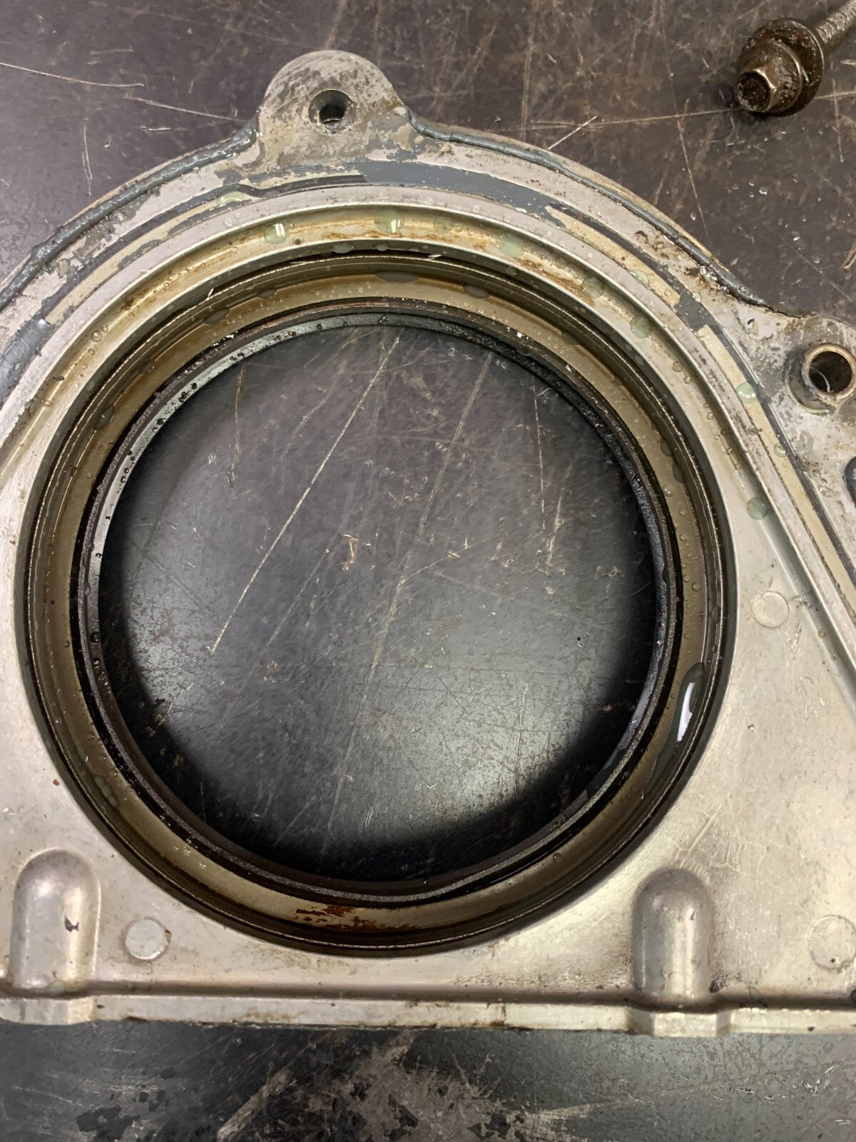 6.4-5.7 Engine Rear Main Crankshaft Oil Seal Housing Cover Plate 53021337AB