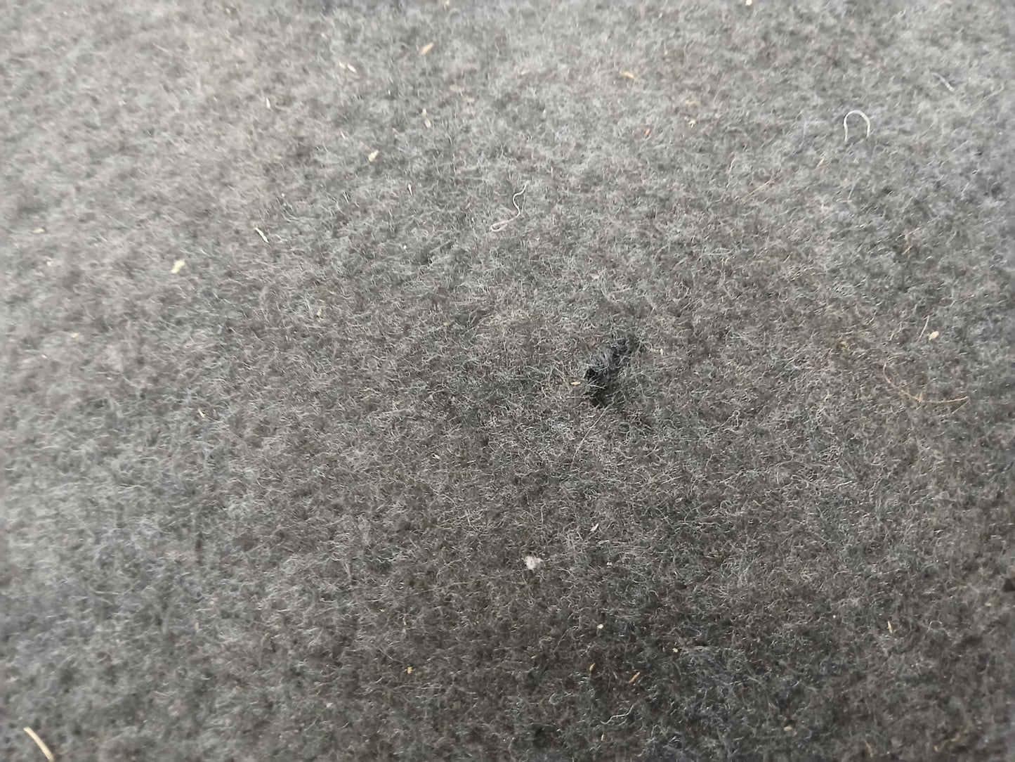 05-08 Magnum SRT8 Rear Trunk Floor Spare Wheel Carpet Cover Panel 04628970ad