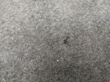 05-08 Magnum SRT8 Rear Trunk Floor Spare Wheel Carpet Cover Panel 04628970ad