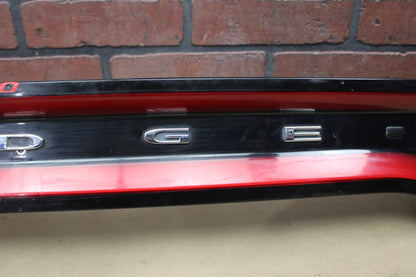 2015 - 2023 DODGE CHARGER TRUNK LID CENTER TAILLIGHT TAIL LIGHT LAMP OEM
