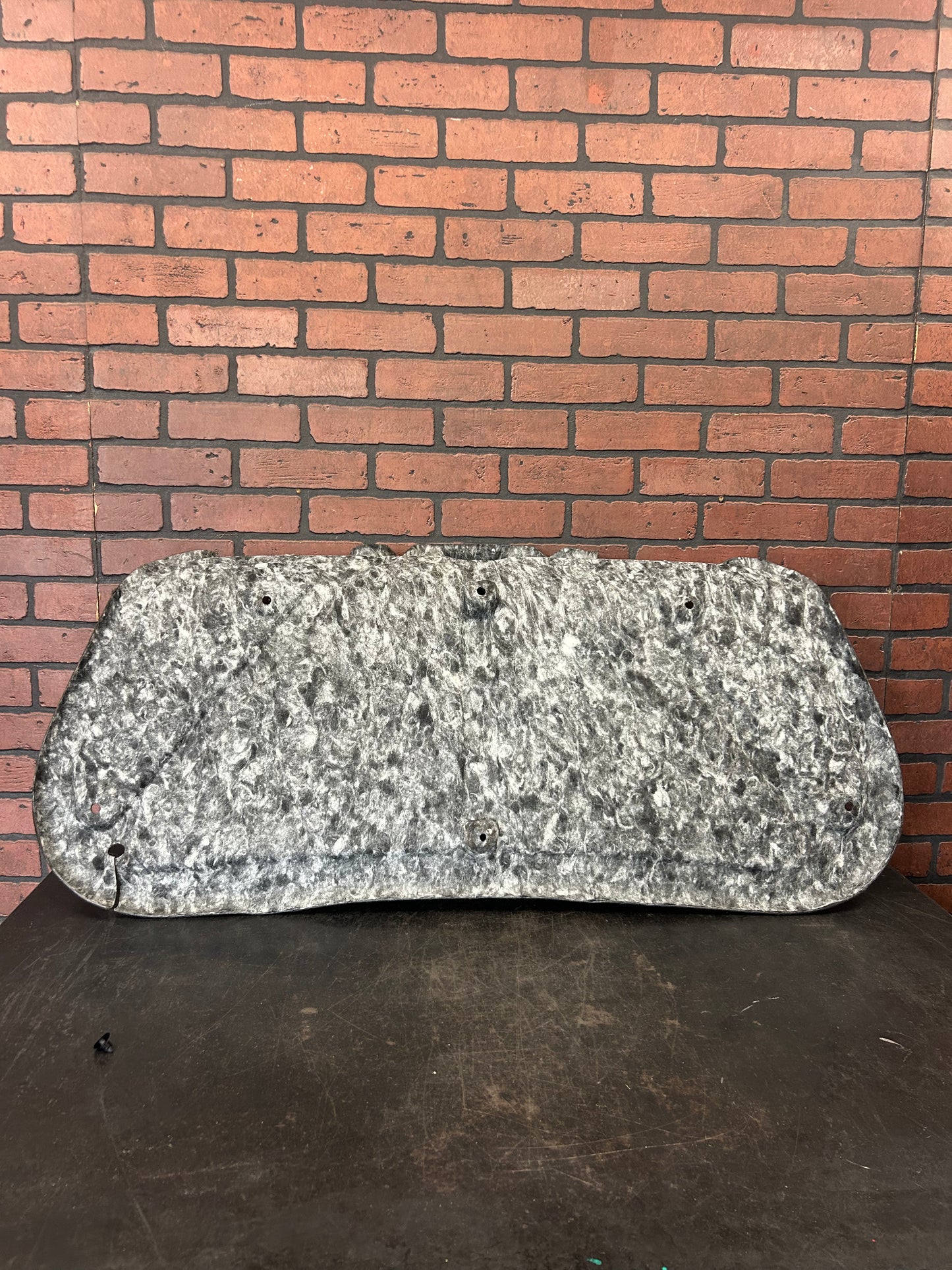 2009 - 2023 DODGE CHALLENGER TRUNK DECK LID PANEL LINER COVER CARPET TRIM OEM
