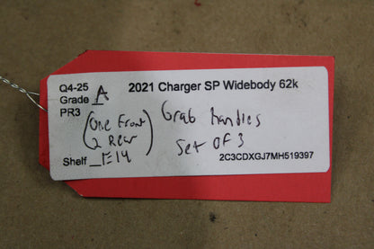 2011-2023 Dodge Charger Interior Grab Handle Assembly Front Rear Set Of 3 OEM