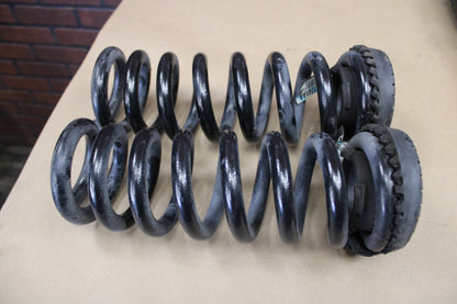 2019 - 2023 Dodge Charger Challenger Rear Shock Absorber Strut Springs Pair OEM