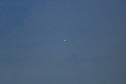 2011-2023 Dodge Charger SRT R/T Scat Pack Rear Driver Left Door Assembly B5 Blue