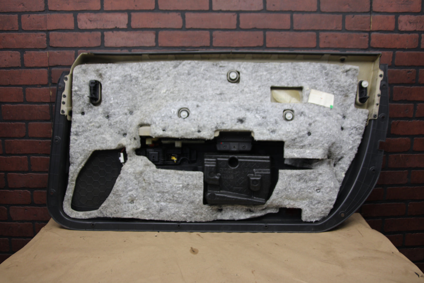 08-11 Dodge Challenger SRT8 Interior Front Driver LH Side Door Panel 1FU111DVAK