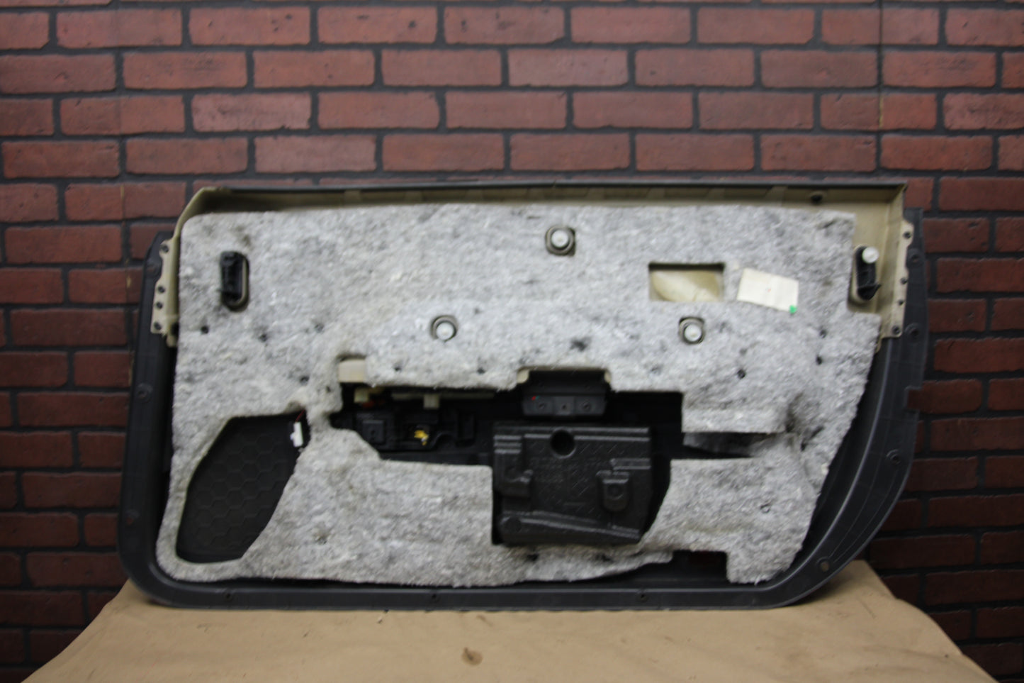 08-11 Dodge Challenger SRT8 Interior Front Driver LH Side Door Panel 1FU111DVAK