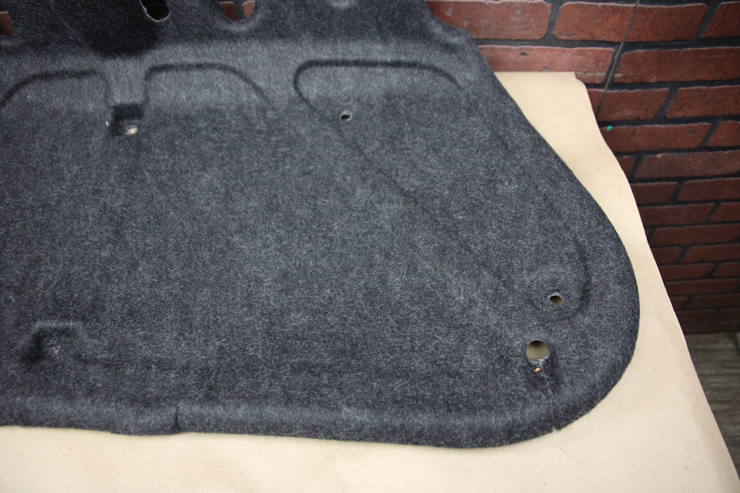 2009-2023 Dodge Challenger SRT Decklid Shelf Interior Trim Cover 55315183AB OEM