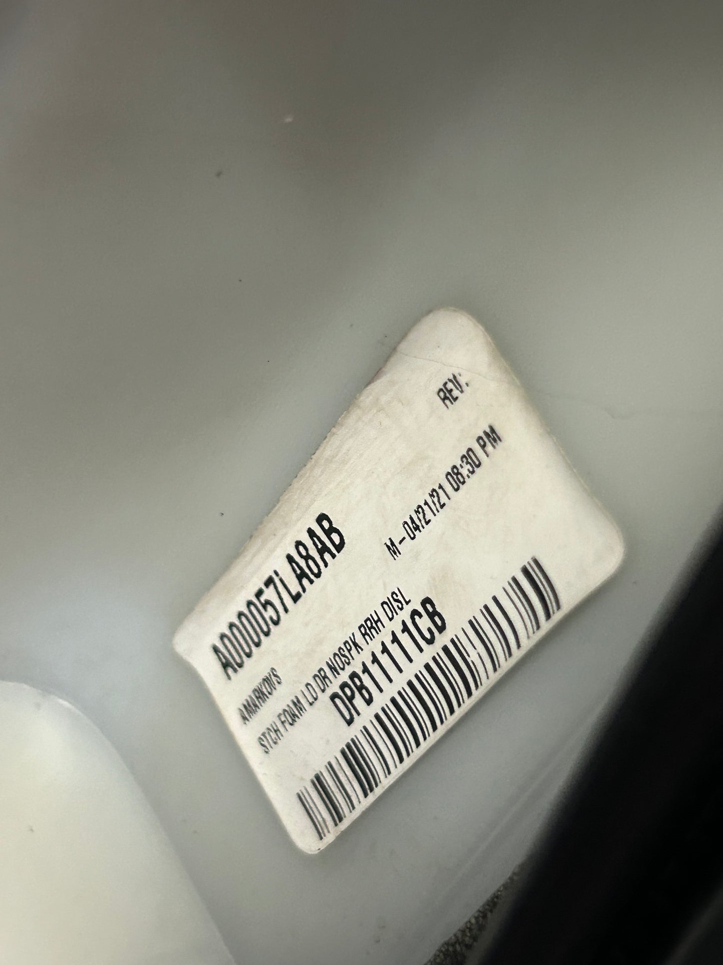 2019-2023 Dodge Charger OEM Rear Passenger Right Side Door Panel 6RA382X9AC