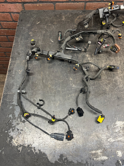 2014-2024 RAM 1500 ECODIESEL 3.0L ENGINE INJECTOR WIRING WIRE HARNESS OEM