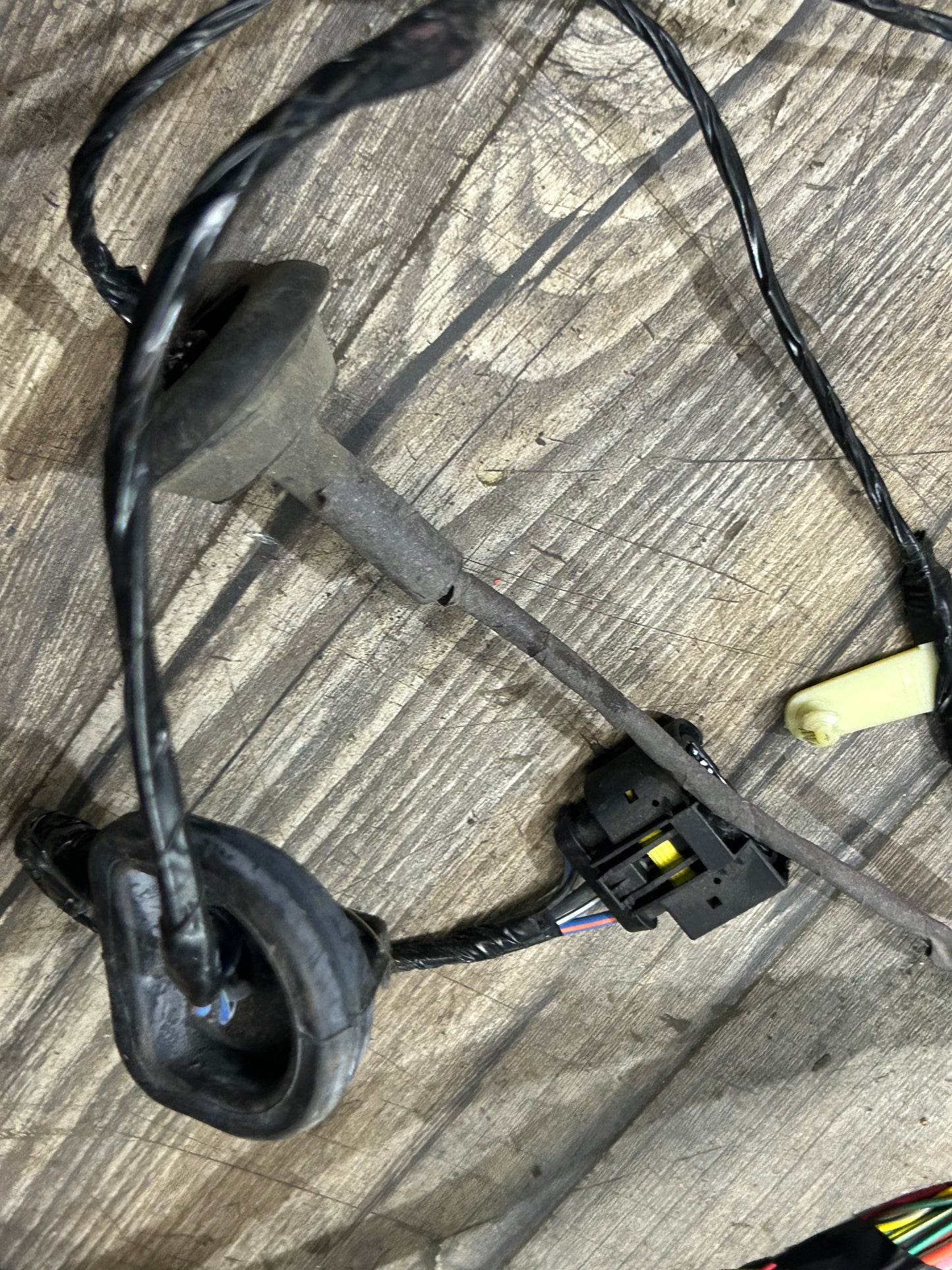2021 Dodge Charger Scat Pack 392 6.4L Body Wire Wiring Harness 68487549AB OEM