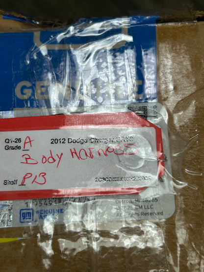 2021 Dodge Charger Scat Pack 392 6.4L Body Wire Wiring Harness 68487549AB OEM
