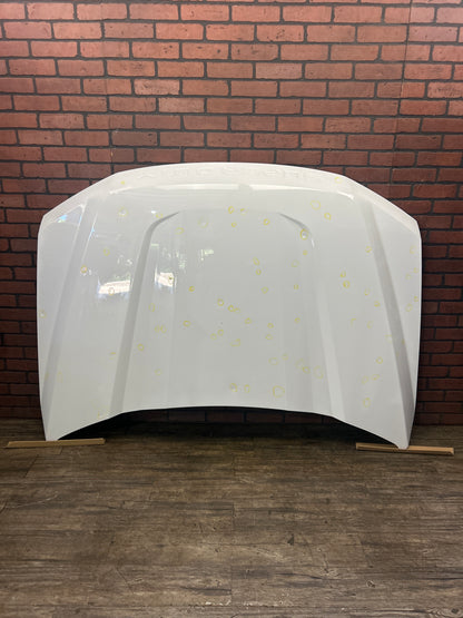 2017-2022 FORD F-250 F-350 F250 F350 SD FRONT HOOD BONNET ALUMINUM WHITE OEM