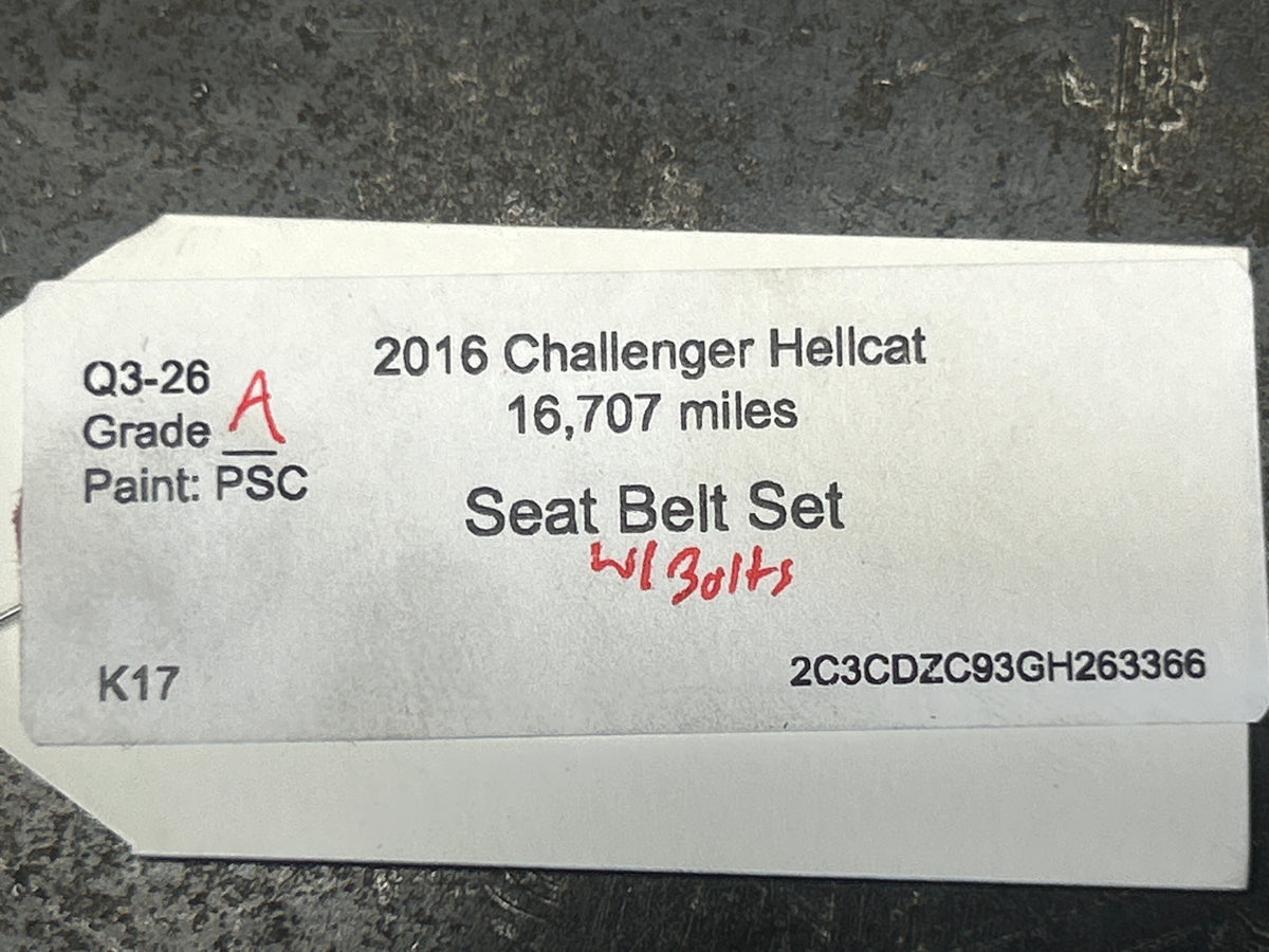2015-2019 DODGE CHALLENGER SRT FRONT & REAR LEFT & RIGHT OEM SEAT BELT SET OEM