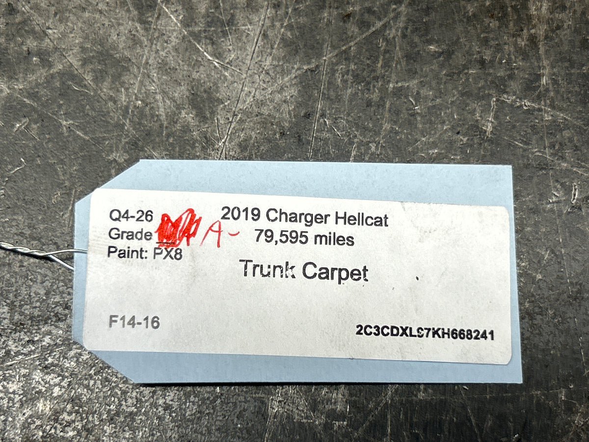 11-23 DODGE CHARGER HELLCAT REAR TRUNK CARGO SPARE COVER CARPET OEM 55315147AJ