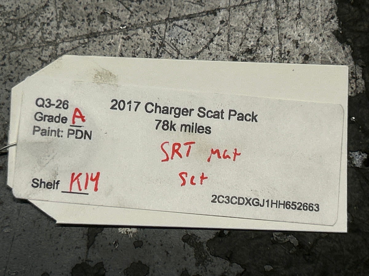 15-23 Dodge Charger Scat Pack SRT Driver Passenger Front & Rear Floor Mats OEM