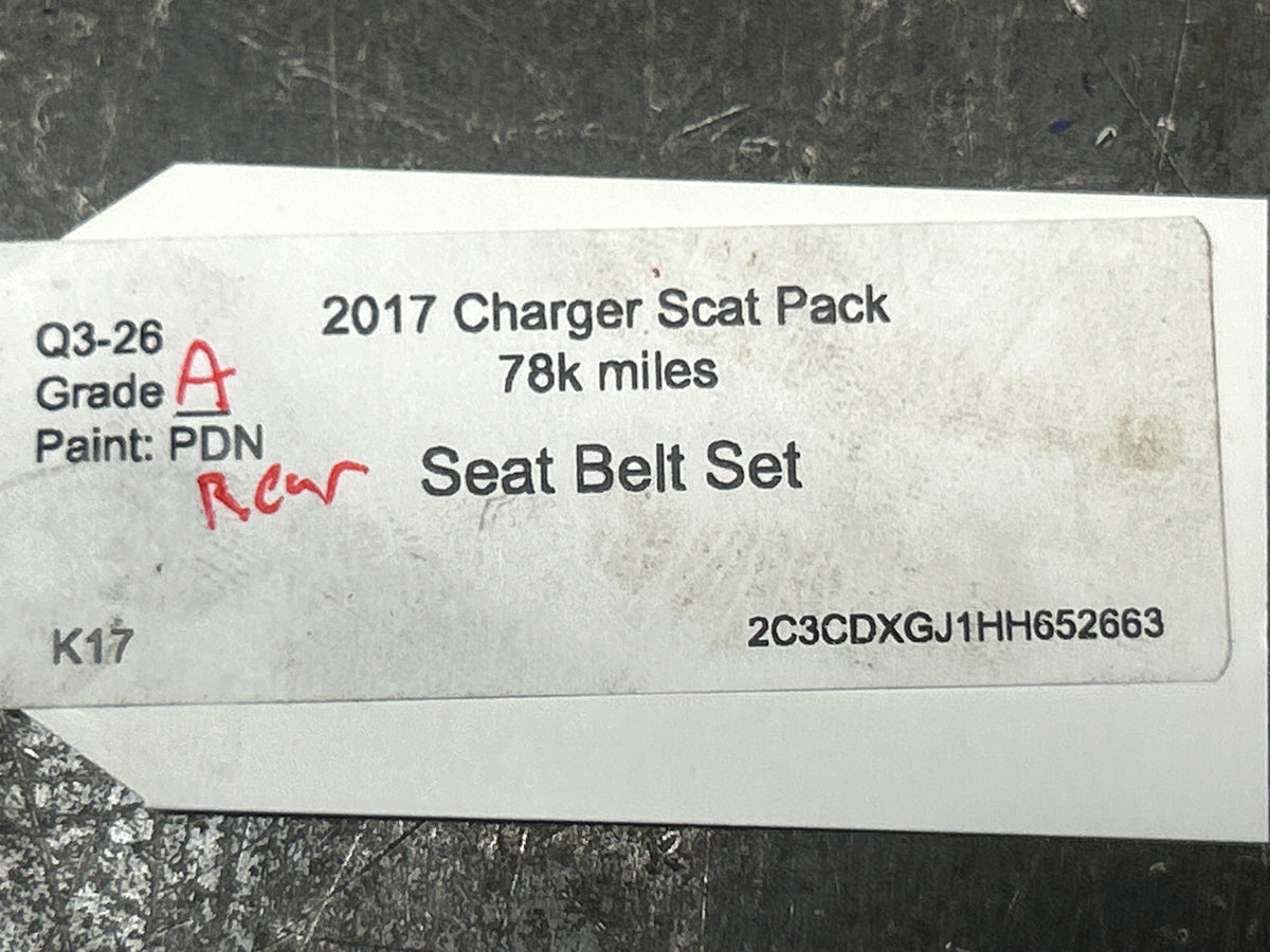 2015-2023 DODGE CHARGER SCAT PACK FRONT & REAR LEFT & RIGHT OEM SEAT BELT SET