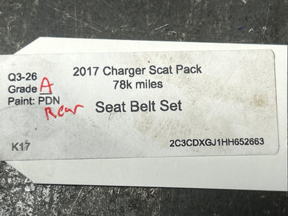 2015-2023 DODGE CHARGER SCAT PACK FRONT & REAR LEFT & RIGHT OEM SEAT BELT SET