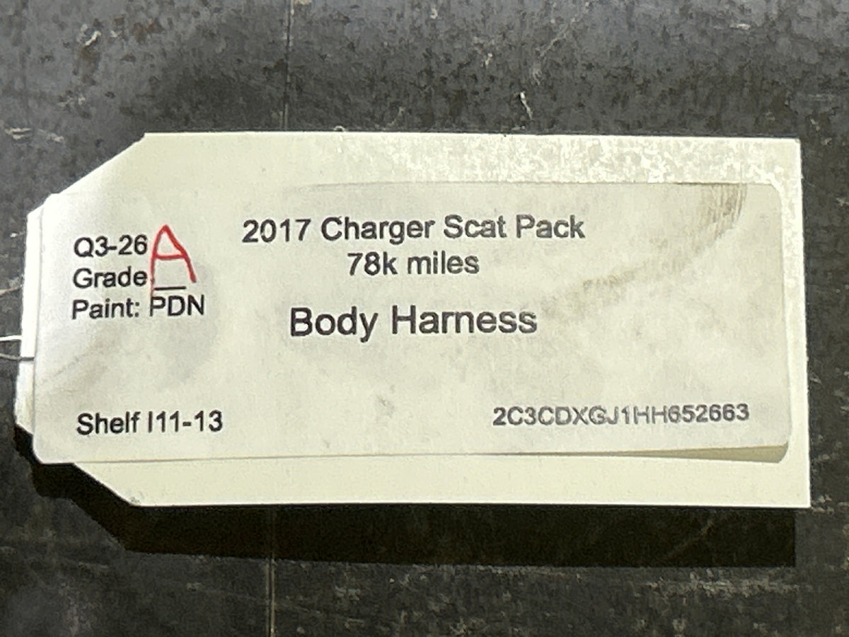 2017 Dodge Charger ScatPack Body Wiring Harness & Trunk Fuse Box 68304981AF OEM