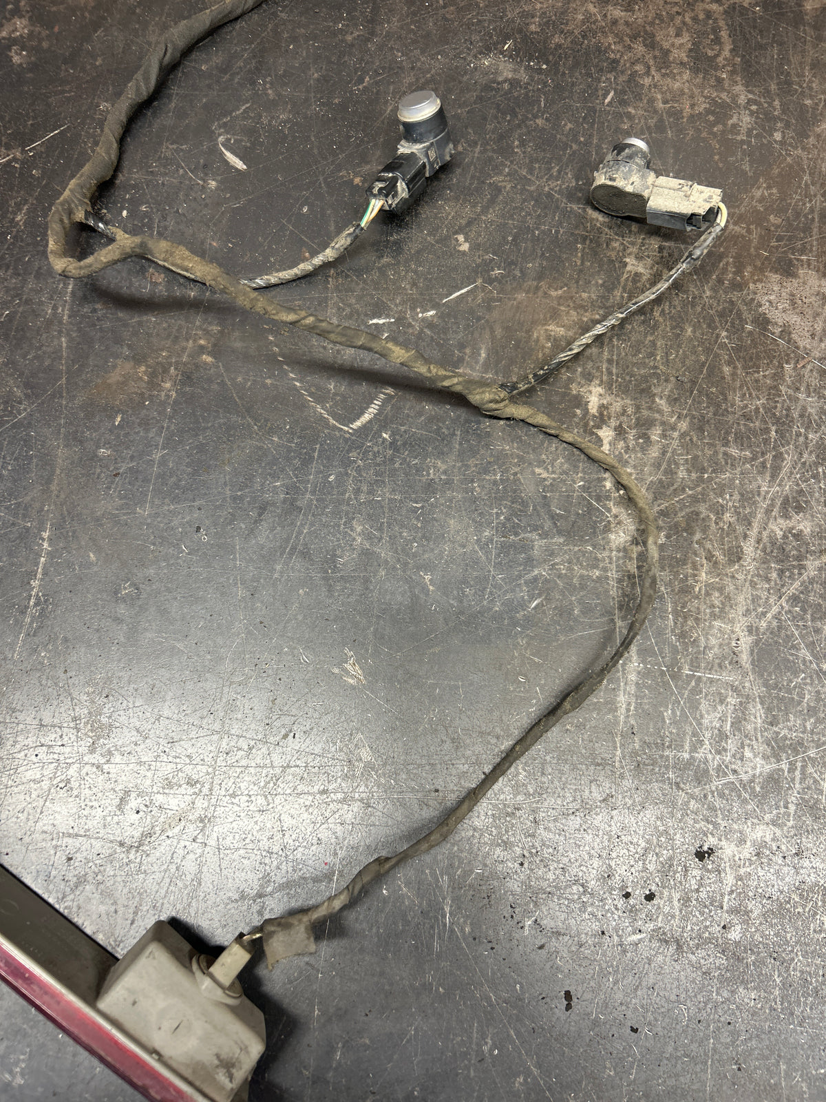 12-14 Dodge Challenger R/T Rear bumper Wire Harness W/Sensors & Lights OEM