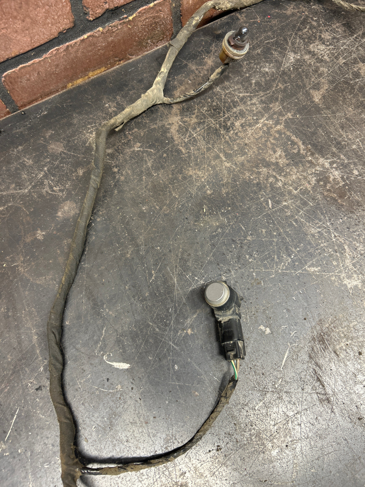 12-14 Dodge Challenger R/T Rear bumper Wire Harness W/Sensors & Lights OEM