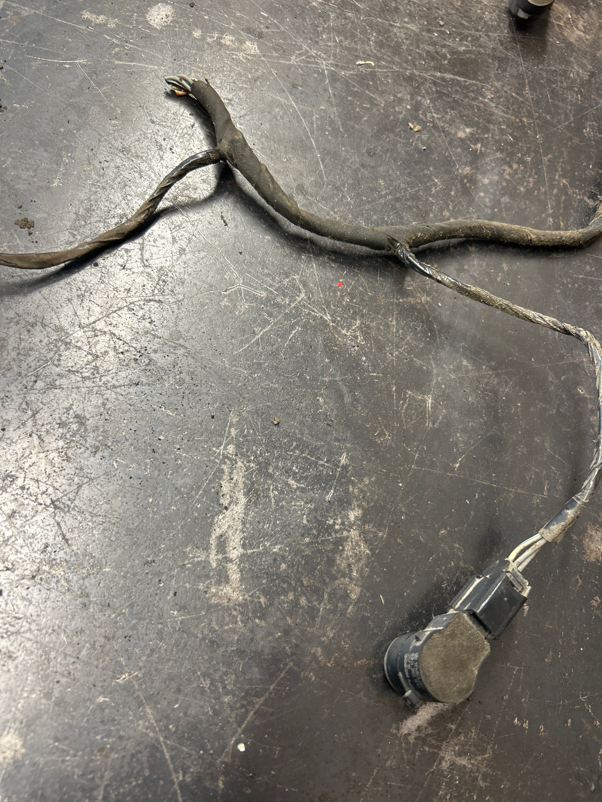 12-14 Dodge Challenger R/T Rear bumper Wire Harness W/Sensors & Lights OEM