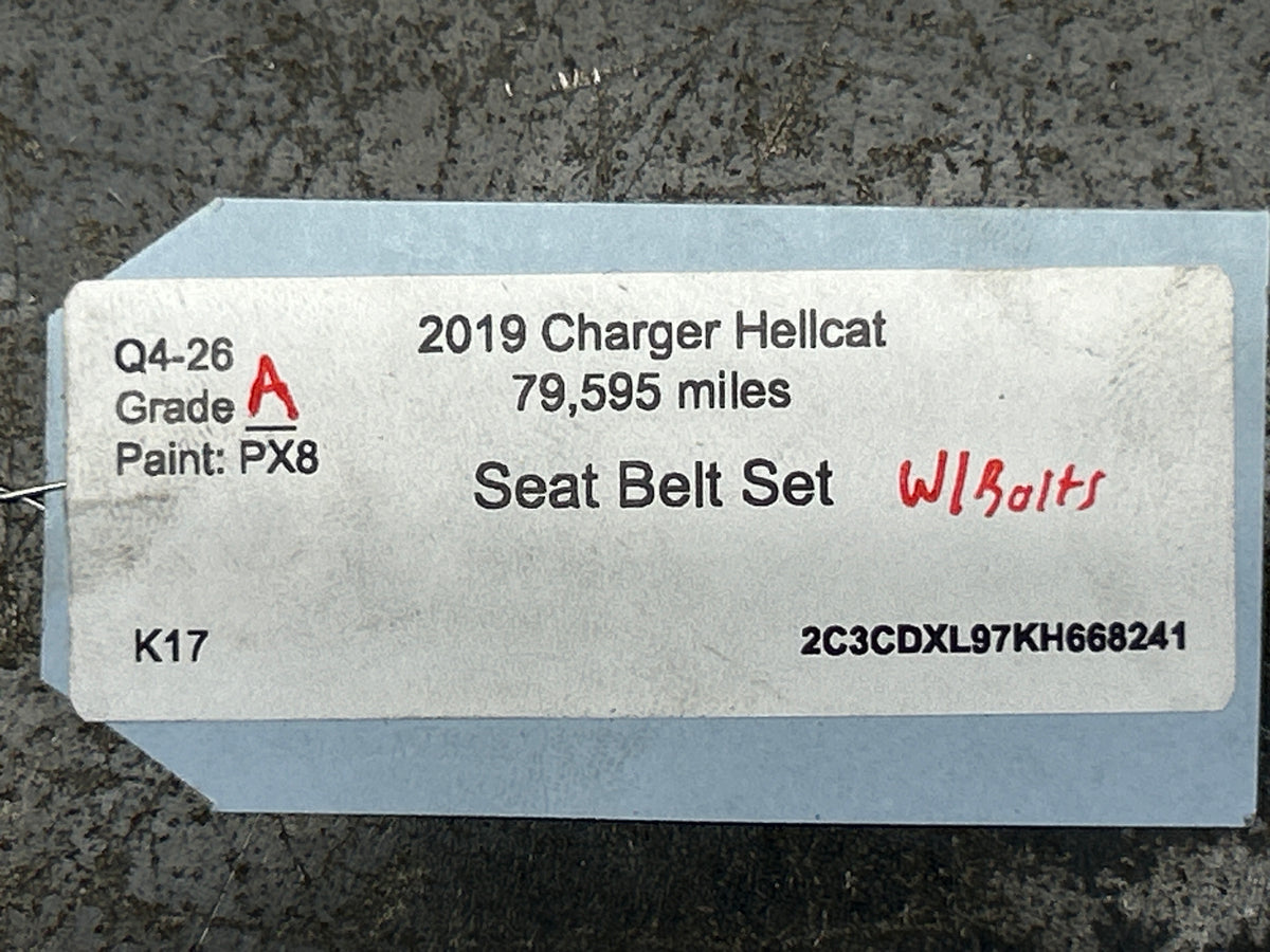 2019 Dodge Charger Hellcat Front & Rear Seat Belt Set W/ Buckles & Bolts OEM