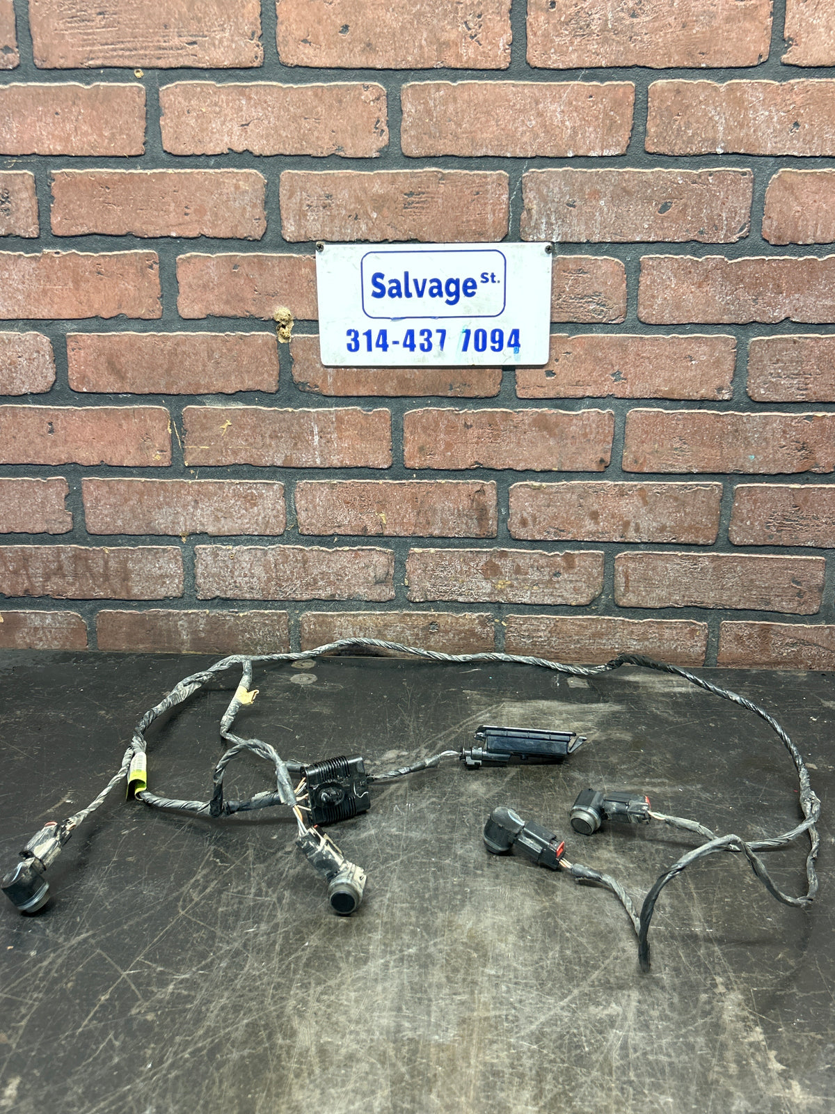 15-23 Dodge Charger Hellcat Rear Bumper Wiring Harness W/ Park Assist Sensors