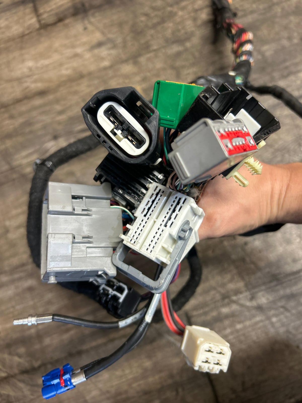 2019 Dodge Charger Hellcat Body Wiring Harness W/ Fuse Box 68384050AE OEM