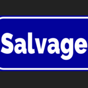 salvagest.com